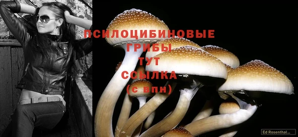 МДМА Алексеевка
