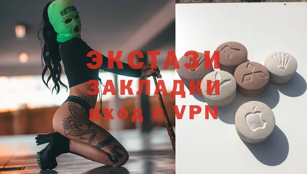 стаф Алзамай