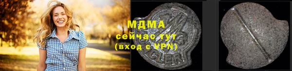 мет Алексин