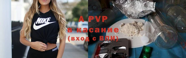 стаф Алзамай