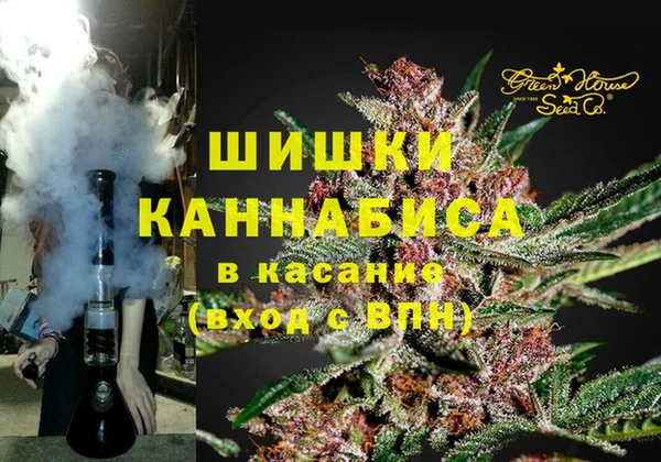 стаф Алзамай