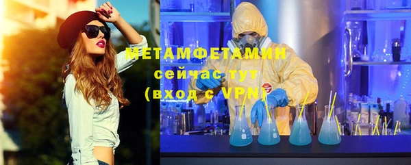мет Алексин